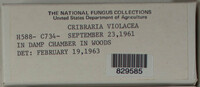 Image Associated With the Occurence